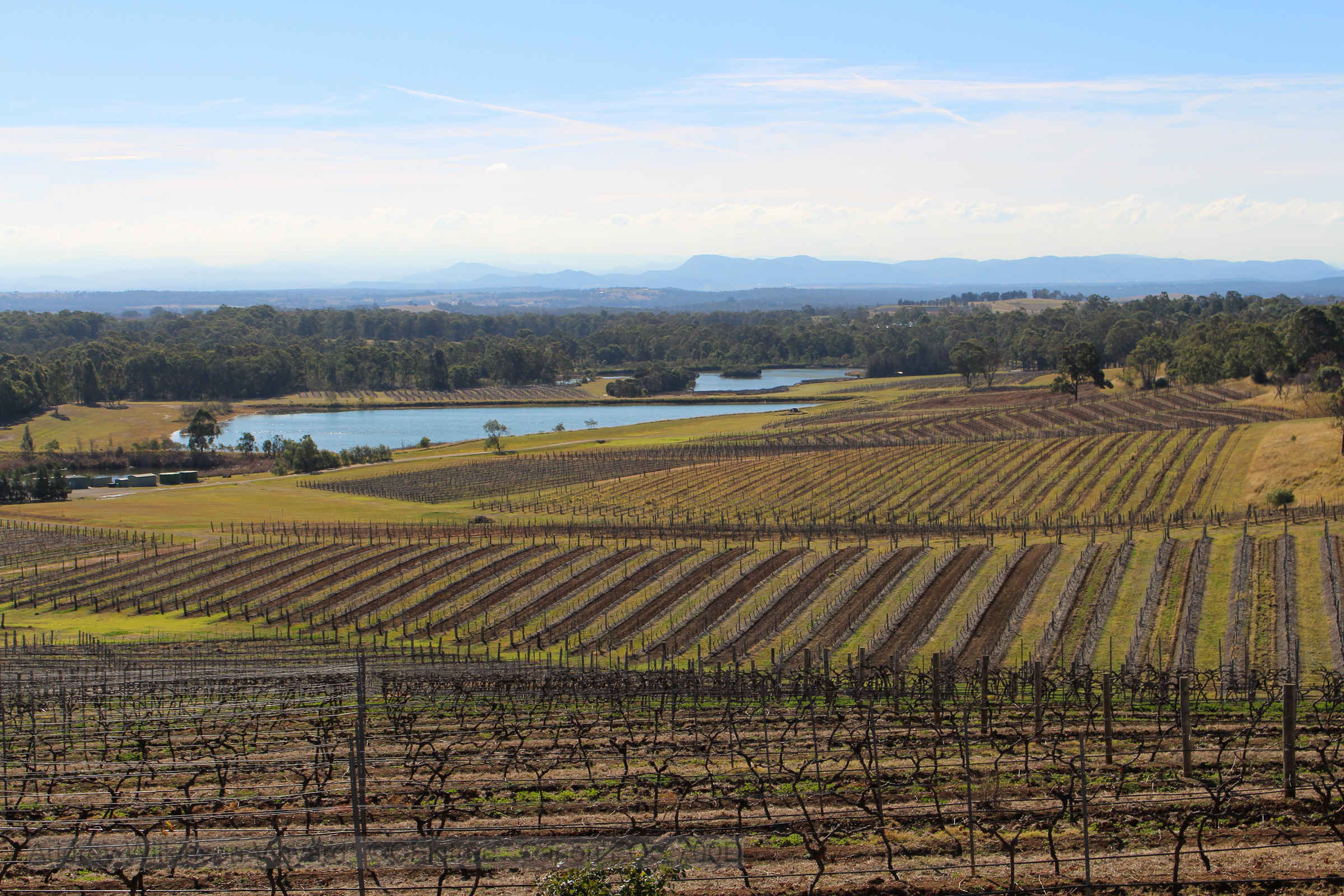 Hunter Valley Vinyards