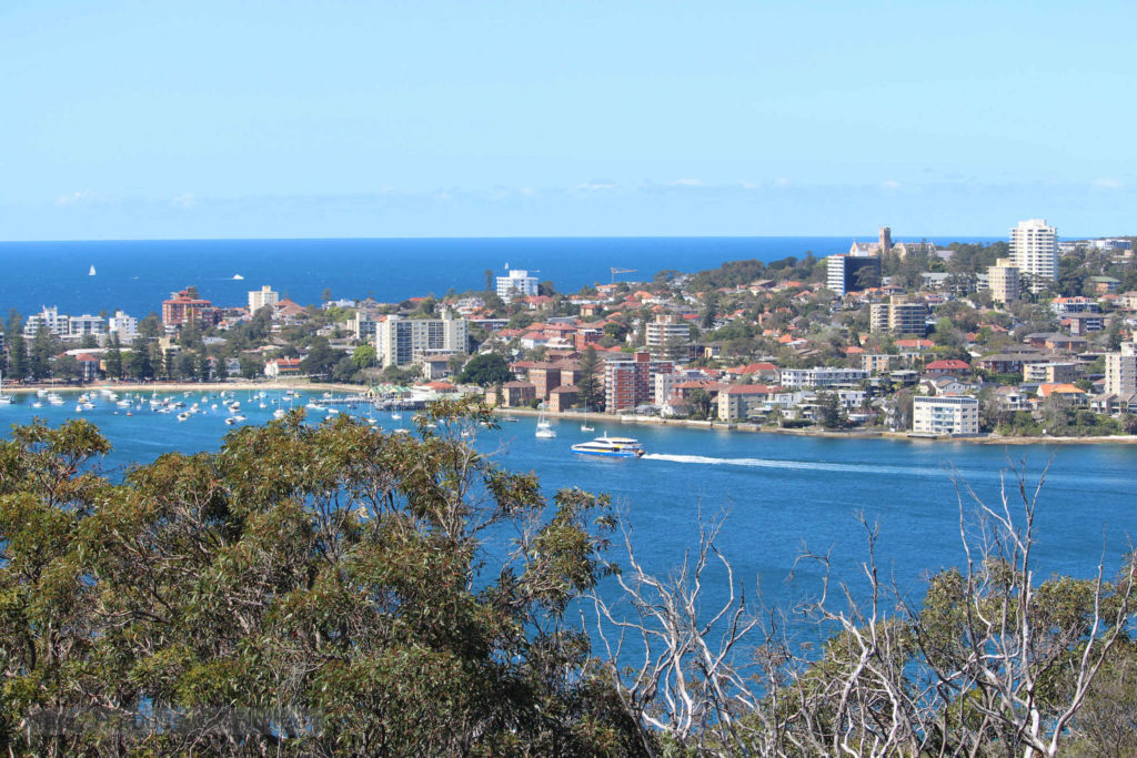 Manly Harbour