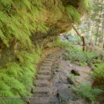 Cliff over-hang on the underpass walk, Wentworth Falls