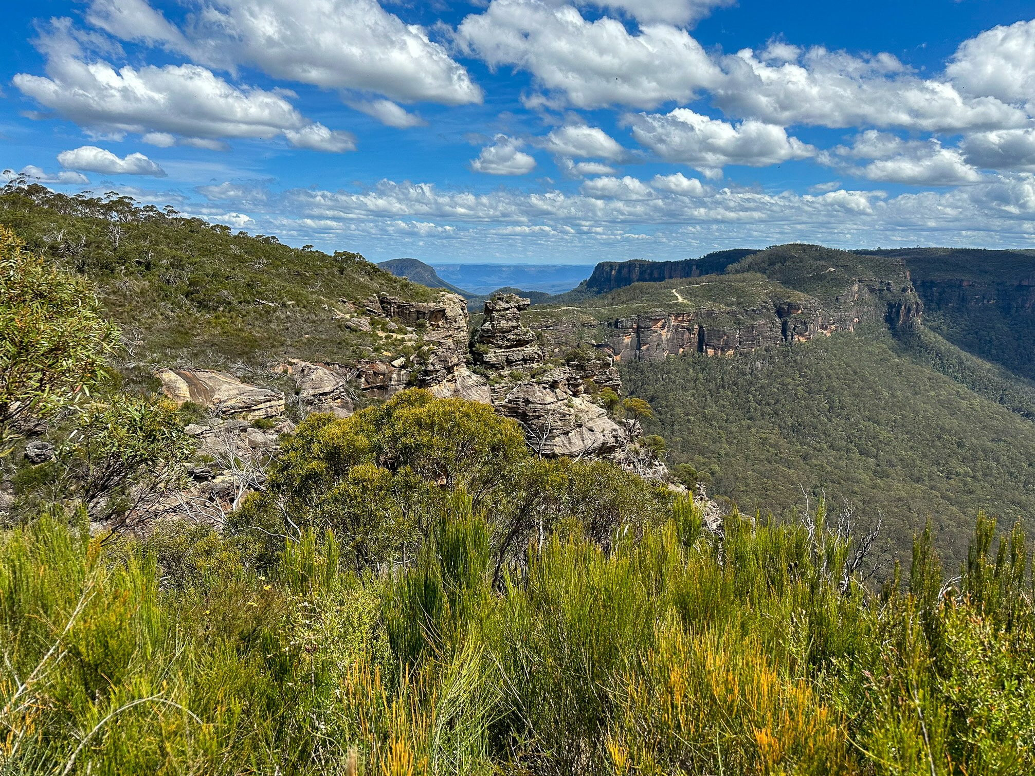 Stunning view from Boar’s Head Lookout, overlooking the vast Blue Mountains with dramatic cliffs and lush valleys