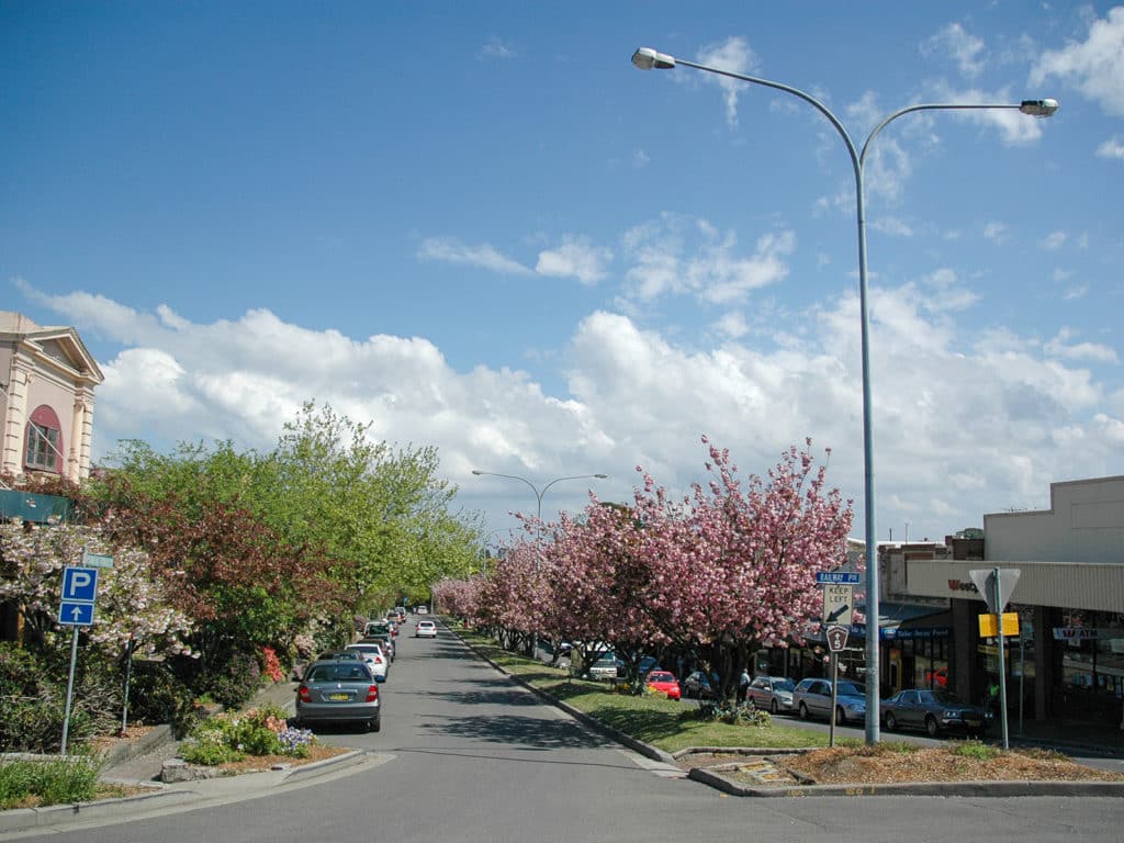 Charming streets of Leura, with colorful flowers and quaint buildings, nestled in the scenic Blue Mountains.