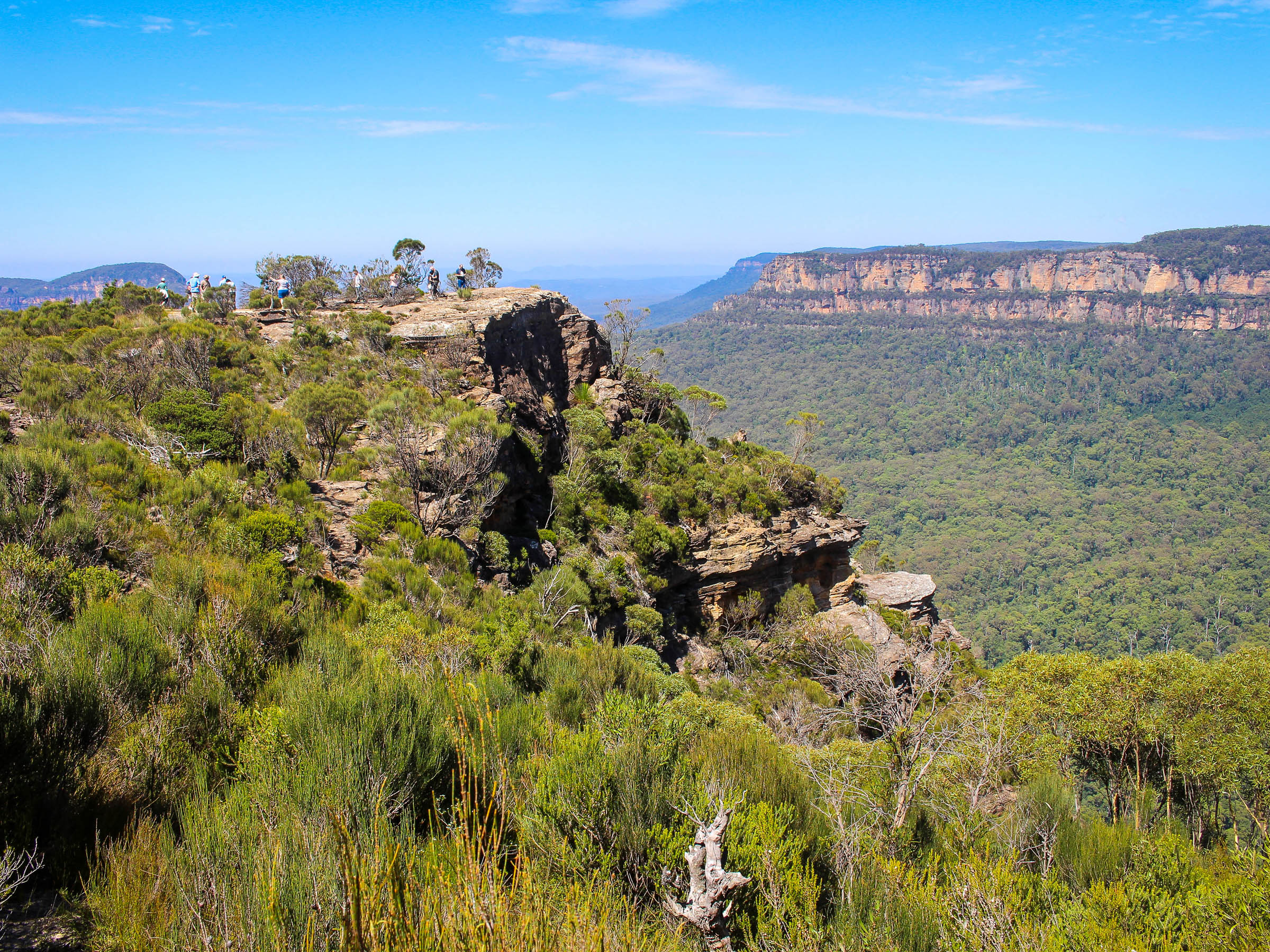 Panoramic view of the Blue Mountains, showcasing its rugged cliffs, lush valleys, and distant horizons.