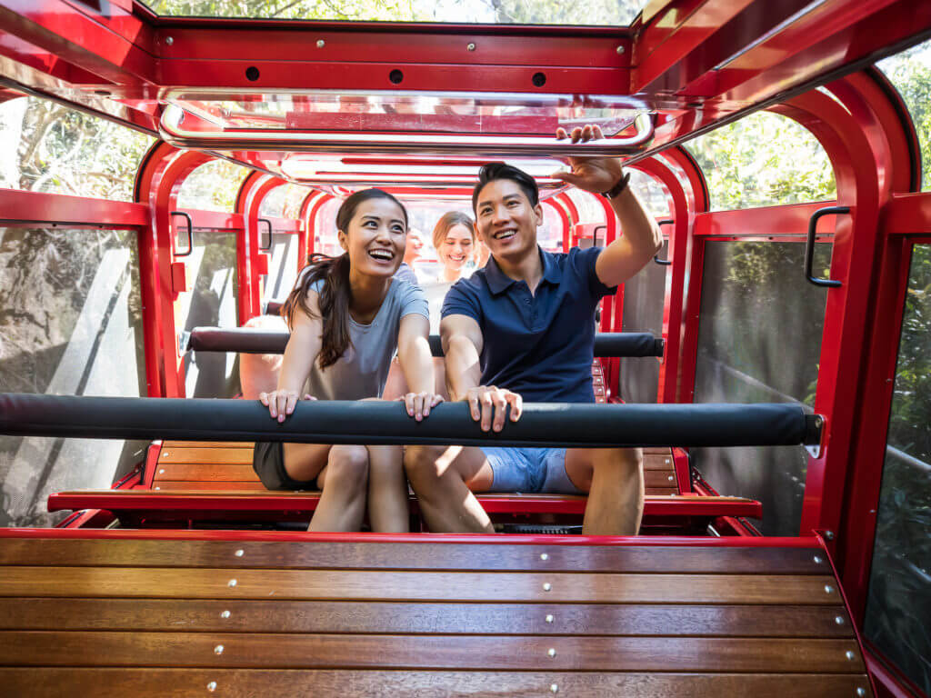 A couple enjoying a ride down the Scenic Railway