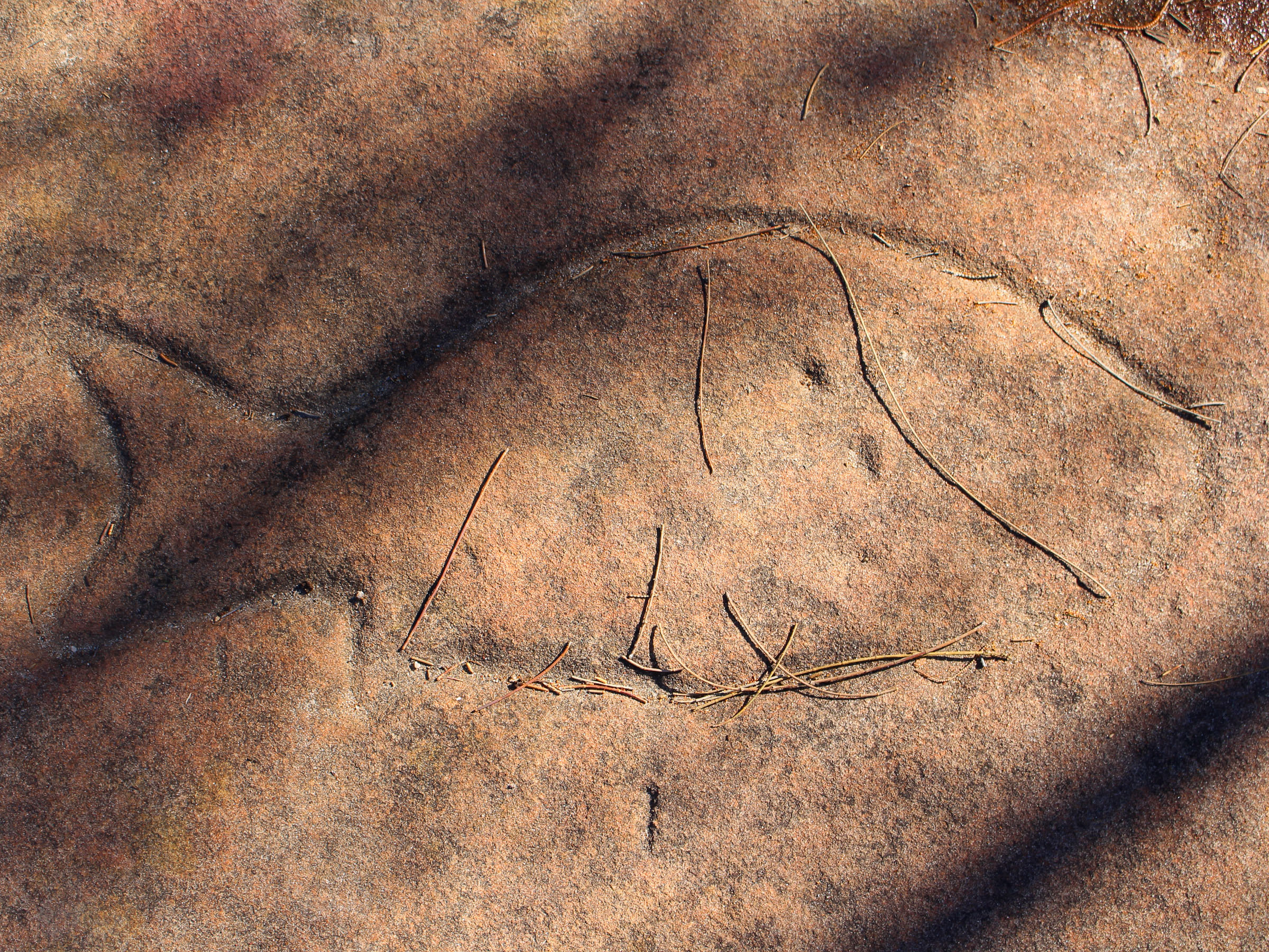 The Eora people were the traditional custodians of the land that now makes up central Sydney on both sides of the harbour.